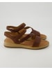 Gabor Comfort Sandalen in Braun