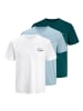Jack and Jones 3er Pack T-Shirts Brandon Tee SS Crew Neck in Mehrfarbig