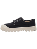 Palladium Schnürschuh in schwarz