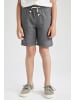 DeFacto Shorts BERMUDA in Grau