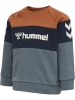 Hummel Sweatshirt Raglanärmel Hmlsamson Lebensstil Jungen in STORMY WEATHER