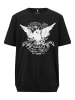 Boston Park Kurzarm T-Shirt in schwarz