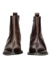 Pavement Stiefelette ELVA Braun