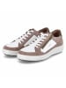Josef Seibel Schnürhalbschuh in taupe