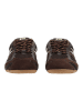 Steve Madden Sneaker RALLY TIME in Chocolate