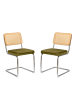 ABRIHOME Esszimmerstuhl in Grün Rattan mit Chrombeinen 2er Set Mid Century