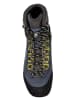 LOWA Outdoorschuh CAMINO EVO GTX in stahlblau/kiwi