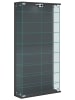 VCM  Wandvitrine Hängevitrine Glasvitrine Relas L in Anthrazit
