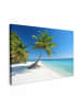 MuchoWow Leinwand bilder Palme (BxH)