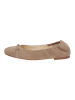 Högl Ballerinas in Taupe