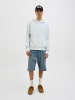 Jack & Jones Kapuzenpullover in Skyway