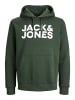 Jack & Jones Pullover CORP in Grün