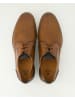 LLOYD Klassische Schnürschuhe in Braun