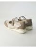Semler Ballerinas in Beige