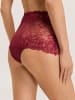 Hanro Panty Solene in secret berry