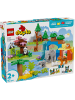 duplo DUPLO® Wildtier-Familien 3-in-1-Set in Mehrfarbig ab 2 Jahre