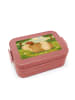 Mr. & Mrs. Panda MEPAL Bentobox Meerschweinchen Weisheit Design ... in Rot Pastell