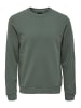 ONLY & SONS Sweatshirt Ceres in Grün