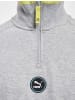 Puma Puma Half-Zip in lightgrey heather