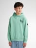 Petrol Industries Grafisches Hoodie Deschutes in Blau