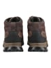 Clarks Stiefelette ATL TREKHI GTX in Braun