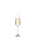 LEONARDO 6er Set Sektgläser Puccini in Transparent 280 ml in transparent