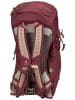 Deuter Wanderrucksack AC Lite 14 SL in Ashrose/Cassis