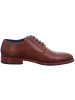 Bugatti Schnürschuhe Livorno in cognac