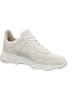 Froddo Sneaker in rot