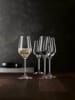 Spiegelau 12er Set Champagnergläser Style 310 ml transparent in transparent