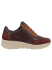 Solidus Damen- Schnürschuhe Holly Weite H in Braun