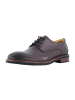 DIGEL Business Schnürschuhe in Braun