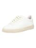 Scotch & Soda Sneaker in Cream