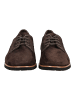 Paul Green Halbschuhe in Moro