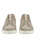 Geox Sneaker in Sand