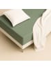 Schöner Wohnen Kollektion Spannbettlaken FLAT 1 in Grün