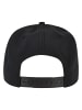 Cayler & Sons Cayler & Sons Accessoires STFU P Cap in black