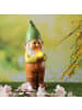 MARELIDA LED Solar Gartenzwerg mit Vogel Gartenfigur H: 28,5cm in bunt