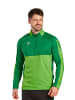 erima Unisex Erwachsene, Erwachsene Six Wings Trainingstop in green/smaragd