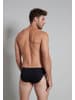 Tom Tailor Slip 7Er Pack Kingsville in schwarz-dunkel-uni