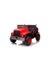 Wisam® Auto auf Batterie JC222
