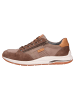 Sioux Sneaker in braun