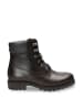 PANAMA JACK Damen Winterschuhe warm Panama 03 Igloo B62/PT100602B062 in Braun