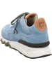 Floris van Bommel Sneaker Low in blau