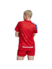 adidas Performance Fußballtrikot FC Bayern München Human Race FC in rot / blau