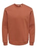 ONLY & SONS Sweatshirt in Sequoia