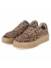 Palado Plateau Sneaker in braun