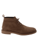 Marco Tozzi Stiefelette in TAUPE