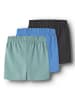 TWO SOON Shorts in Regatta