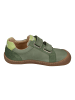 KOEL Sneaker Low DENIS NAPA NEW 07M031.101-361 in grün